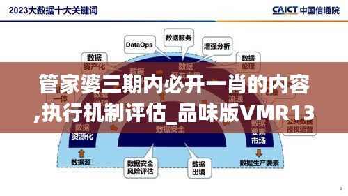 管家婆三期内必开一肖的内容,执行机制评估_品味版VMR13.4