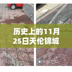 历史上的11月25日，天伦锦城最新房价揭秘