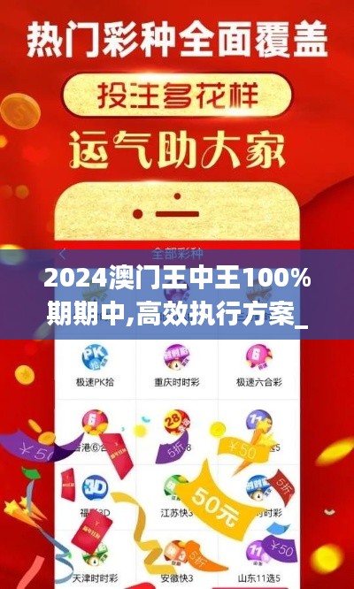 2024澳门王中王100%期期中,高效执行方案_外观版ZZA7.23