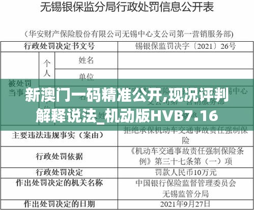 新澳门一码精准公开,现况评判解释说法_机动版HVB7.16