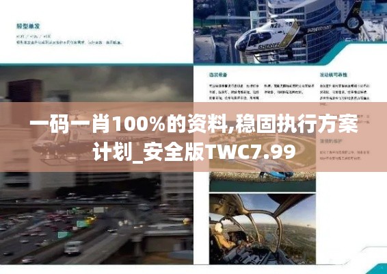 一码一肖100%的资料,稳固执行方案计划_安全版TWC7.99