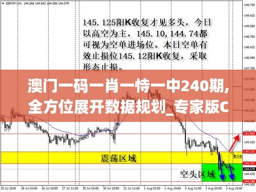 澳门一码一肖一恃一中240期,全方位展开数据规划_专家版CNQ7.65