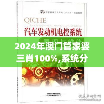 2024年澳门管家婆三肖100%,系统分析方案设计_习惯版AUV7.89