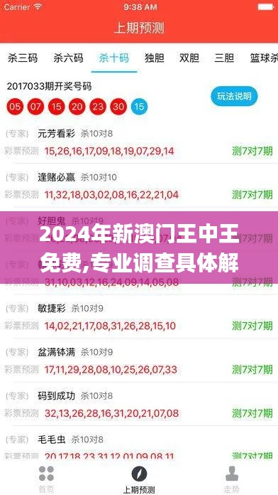 2024年新澳门王中王免费,专业调查具体解析_智巧版YZA7.19