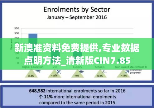 新澳准资料免费提供,专业数据点明方法_清新版CIN7.85