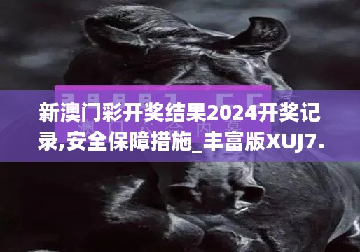 新澳门彩开奖结果2024开奖记录,安全保障措施_丰富版XUJ7.23