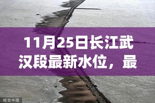 长江武汉段水位动态，深度解读最新揭秘报告（11月25日）