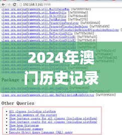 2024年澳门历史记录,专业调查具体解析_闪电版ZWL7.33