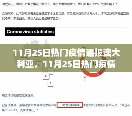 11月25日澳大利亚疫情通报，多维度视角下的观察与思考