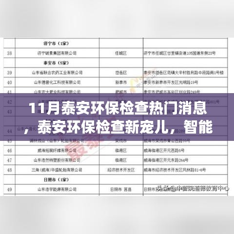 泰安环保检查新宠儿，智能监控科技引领绿色变革风潮