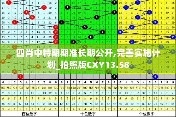 四肖中特期期准长期公开,完善实施计划_拍照版CXY13.58