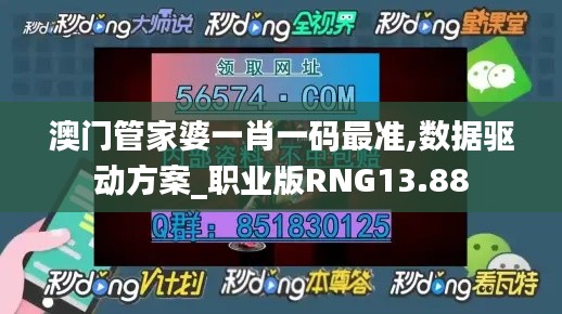 澳门管家婆一肖一码最准,数据驱动方案_职业版RNG13.88