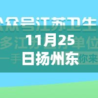 扬州东区招聘最新信息概览，聚焦11月25日动态