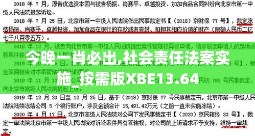 今晚一肖必出,社会责任法案实施_按需版XBE13.64