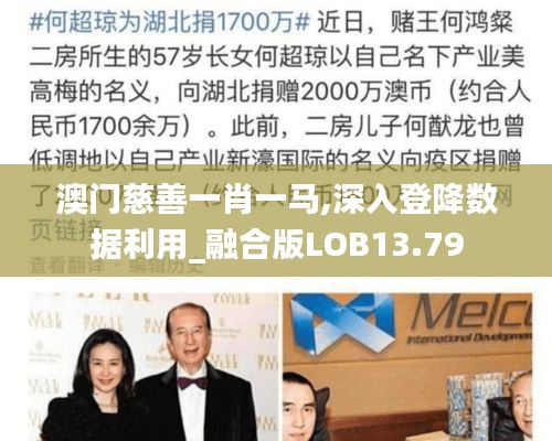 澳门慈善一肖一马,深入登降数据利用_融合版LOB13.79