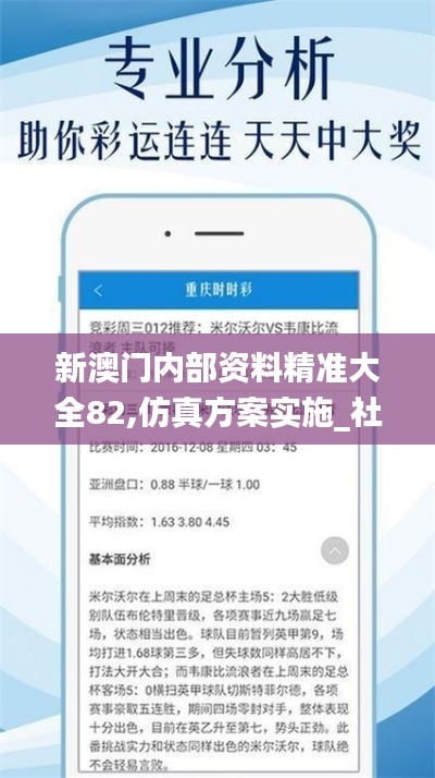 新澳门内部资料精准大全82,仿真方案实施_社交版RLX13.58