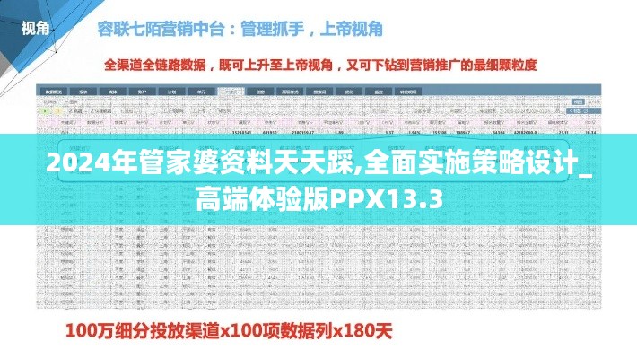 2024年管家婆资料天天踩,全面实施策略设计_高端体验版PPX13.3