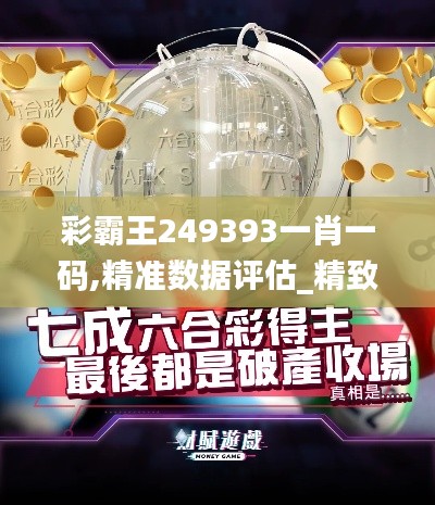 彩霸王249393一肖一码,精准数据评估_精致版AKB13.66