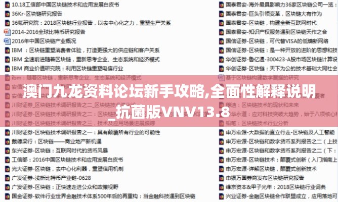 澳门九龙资料论坛新手攻略,全面性解释说明_抗菌版VNV13.8