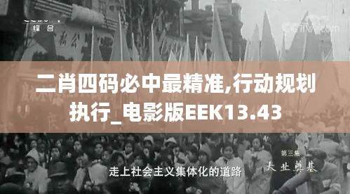 二肖四码必中最精准,行动规划执行_电影版EEK13.43