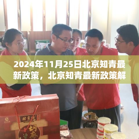 北京知青最新政策解读，聚焦未来动向（截至2024年11月25日）