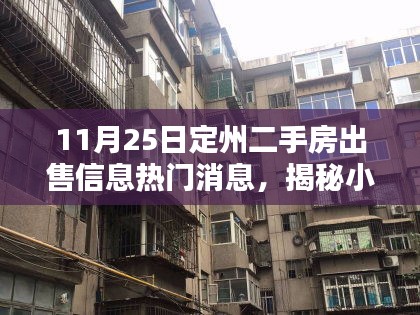 揭秘定州二手房市场，小巷风情与隐藏瑰宝的热门出售信息