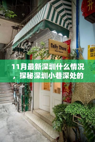 探秘深圳小巷深处的惊喜，11月最新深圳特色小店揭秘