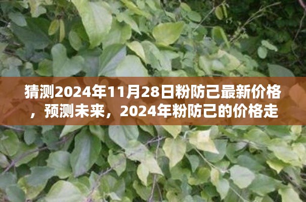 2024年粉防己价格预测，未来走势分析与最新价格猜测