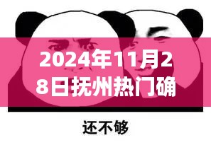 抚州热门确诊事件回顾，特殊日子下的深刻印记（2024年11月28日）