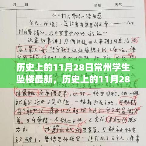 历史上的11月28日常州学生坠楼事件深度解析与最新情况关注