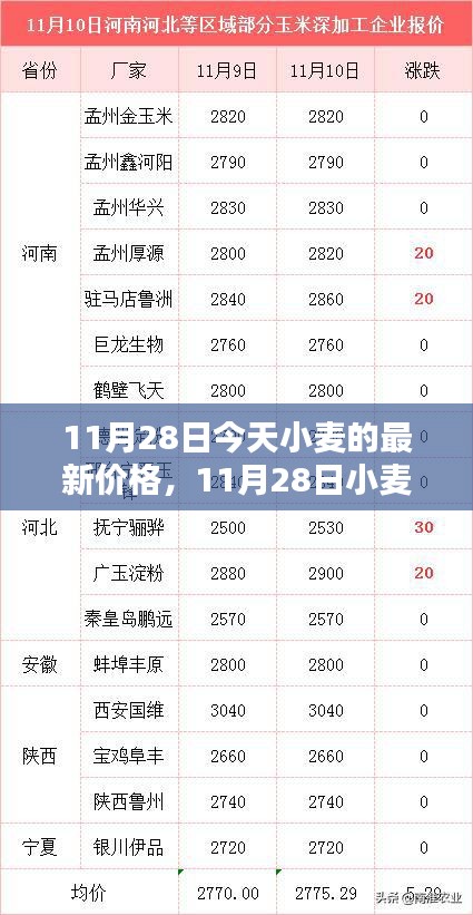 11月28日小麦最新价格走势分析与观点探讨