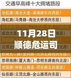 11月28日顺德危运司机招聘启事，驾驭变化，驶向成功自信之旅！