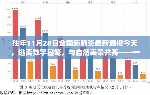 逃离数字囚笼，与自然美景共舞的心灵之旅，全国新肺炎最新通报下的生活体验