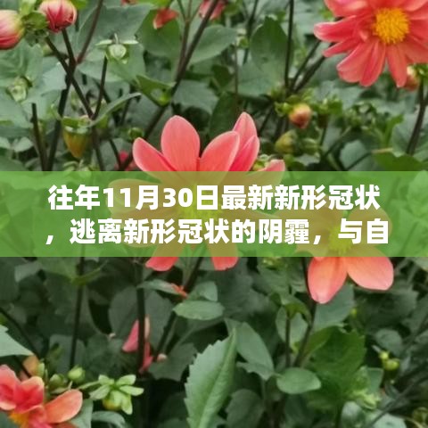 学贯中西 第4页