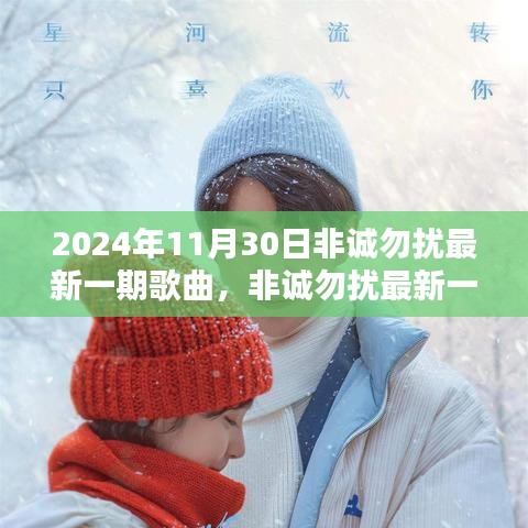 聚焦非诚勿扰，最新一期歌曲深度解析与回顾 2024年11月30日