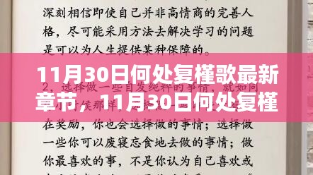 11月30日何处复槿歌最新章节，多元观点与个人立场的深度探讨