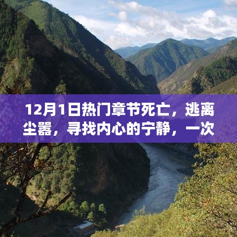 逃离尘嚣，一场寻找内心宁静的十二月旅行记