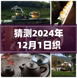 织田最新美食探秘，小巷深处的隐藏美食，未知魅力揭晓——2024年12月1日的美食猜想