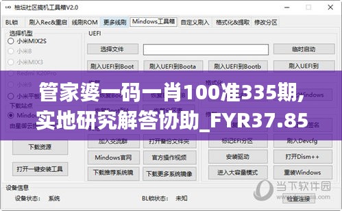 管家婆一码一肖100准335期,实地研究解答协助_FYR37.852赋能版