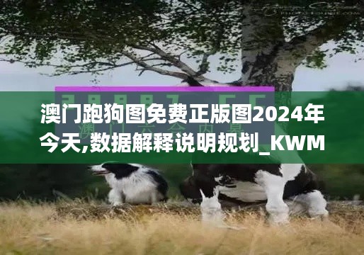 澳门跑狗图免费正版图2024年今天,数据解释说明规划_KWM73.399蓝球版