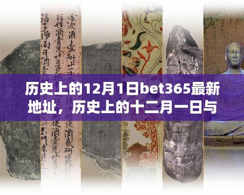 关于bet365最新动态与十二月一日的历史科普文章，犯罪行为的警示与解析。