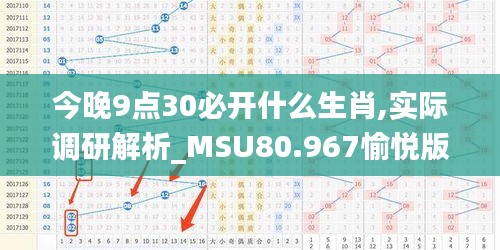 今晚9点30必开什么生肖,实际调研解析_MSU80.967愉悦版