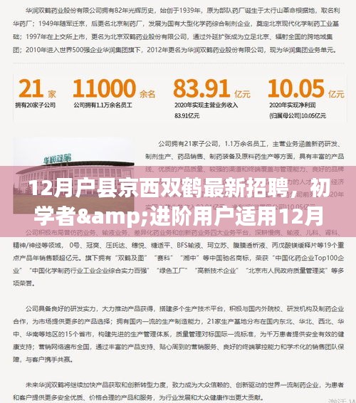 12月户县京西双鹤最新招聘，初学者与进阶用户应聘全攻略