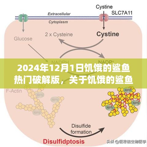 关于饥饿的鲨鱼游戏破解版的警示与提醒（2024年12月1日版）