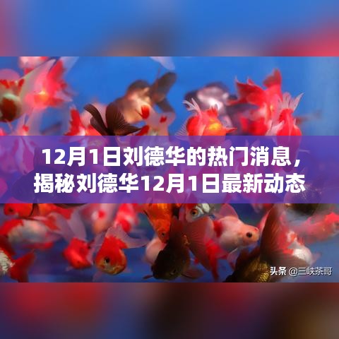 刘德华最新动态揭秘，隐藏小巷特色小店探访记