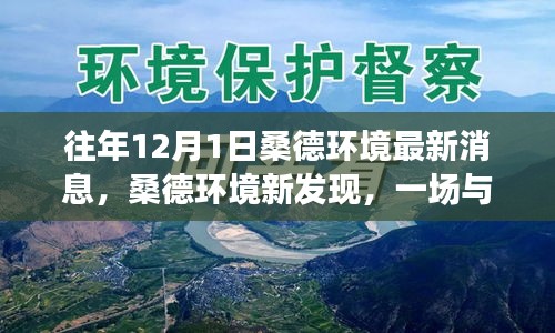 桑德环境新发现，与自然美景的邂逅，探寻内心宁静之旅