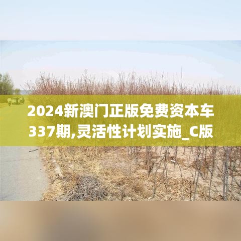 2024新澳门正版免费资本车337期,灵活性计划实施_C版172.509-5