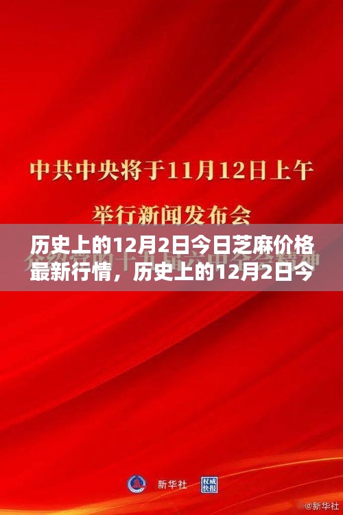 历史上的12月2日芝麻价格背后的故事，变化、学习与自信的力量——最新行情回顾