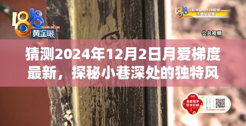 探秘小巷深处的独特风味，月爱梯度特色小店新探2024年12月最新动态