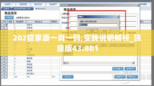 202管家婆一肖一码,实践说明解析_顶级版43.801